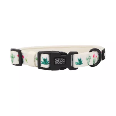 Product Sassy Woof Sass on Point Dog Collar