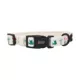 Product Sassy Woof Sass on Point Dog Collar
