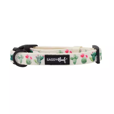 Product Sassy Woof Sass on Point Dog Collar