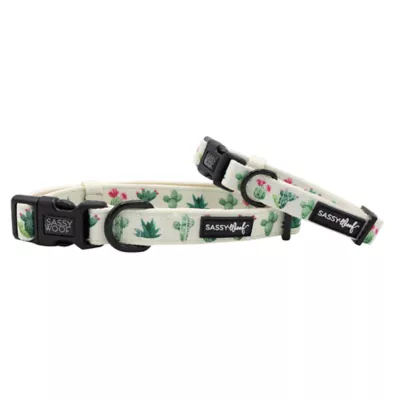 Product Sassy Woof Sass on Point Dog Collar
