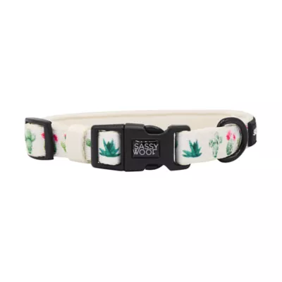 Product Sassy Woof Sass on Point Dog Collar