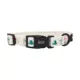 Product Sassy Woof Sass on Point Dog Collar