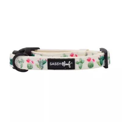 Product Sassy Woof Sass on Point Dog Collar