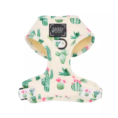 Product Sassy Woof Sass on Point Dog Harness