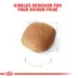 Royal Canin Breed Health Nutrition Bichon Frise Adult Dry Dog Food image thumbnail 3