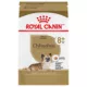 Product Royal Canin Breed Health Nutrition Chihuahua Breed Specific Aging 8+ Senior Dog Dry Food - 2.5 lb
