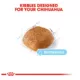 Product Royal Canin Breed Health Nutrition Chihuahua Breed Specific Aging 8+ Senior Dog Dry Food - 2.5 lb
