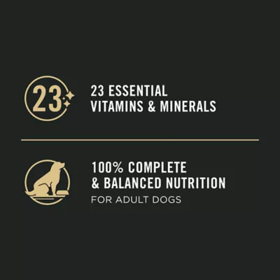 Product Purina® Pro Plan Sensitive Skin & Stomach Adult Wet Dog Food - Classic Pate, Salmon & Rice, 13 oz