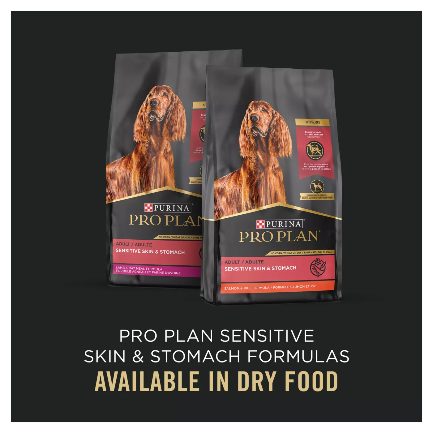 Purina pro plan focus sensitive skin & stomach fashion salmon & rice formula adult dry dog food