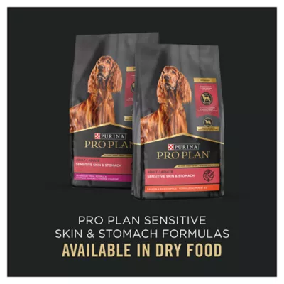 Purina Pro Plan Sensitive Skin Stomach Adult Wet Dog Food Salmon Rice 13 oz