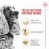 Royal Canin Cocker Spaniel Medium Breed Adult Dry Dog Food - Skin & Coat Health image thumbnail 2