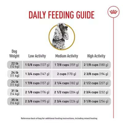 Product Royal Canin Cocker Spaniel Medium Breed Adult Dry Dog Food - Skin & Coat Health