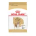 Royal Canin Adult Dry Dog Food - Beagle Breed Health Nutrition, 6 lb image thumbnail 1