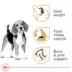Royal Canin Adult Dry Dog Food - Beagle Breed Health Nutrition, 6 lb image thumbnail 2