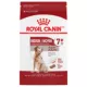 Product Royal Canin Size Health Nutrition Medium Breed Aging 7+ Senior Dog Dry Food - 30 lb