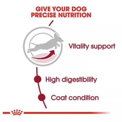 Product Royal Canin Size Health Nutrition Medium Breed Aging 7+ Senior Dog Dry Food - 30 lb