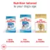 Royal Canin Breed Health Nutrition Great Dane Breed Specific Adult Dog Dry Food - 30 lb image thumbnail 6