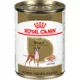 Product Royal Canin Boxer Large Breed Loaf in Sauce Adult Wet Dog Food - 13.5 Oz.