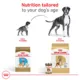 Product Royal Canin Boxer Large Breed Loaf in Sauce Adult Wet Dog Food - 13.5 Oz.