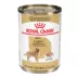 Royal Canin Golden Retriever Large Breed Loaf in Sauce Adult Wet Dog Food - 13.5 Oz. image thumbnail 1