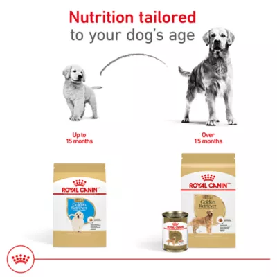 Product Royal Canin Golden Retriever Large Breed Loaf in Sauce Adult Wet Dog Food - 13.5 Oz.