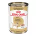Royal Canin Labrador Retriever Large Breed Loaf in Sauce Adult Wet Dog Food - 13.5 Oz. image thumbnail 1