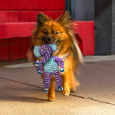 KONG® Floppy Knot Elephant Dog Toy - Rope, Squeaker - Image 2