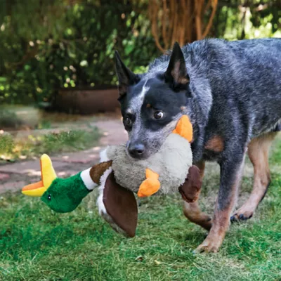 KONG® Shakers Honkers Duck Dog Toy - Squeaker - Image 2