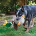 KONG® Shakers Honkers Duck Dog Toy - Squeaker image thumbnail 2