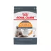 Royal Canin Hair & Skin Dry Adult Cat Food 3LB image thumbnail 1