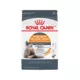 Product Royal Canin Hair & Skin Dry Adult Cat Food 3LB