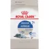 Royal Canin Feline Indoor 7+ Mature Dry Cat Food, Health Nutrition image thumbnail 1