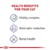Royal Canin Feline Indoor 7+ Mature Dry Cat Food, Health Nutrition image thumbnail 5