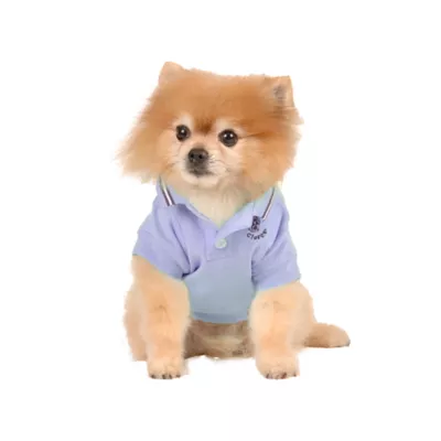 Max's Closet Designer Dog Polo - Image 3