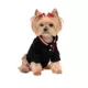 Product Max's Closet Designer Dog Polo