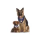 Product Pets First Houston Astros Reversible Pet Bandana