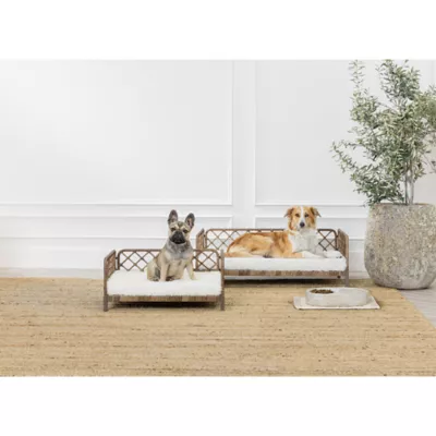 Product Nate & Jeremiah Elevated Pet Bed