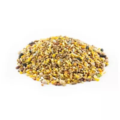 Product Don Roberto Gourmet Cracked Corn Feed, 50lb