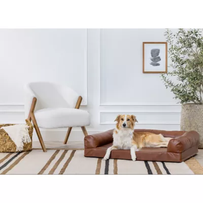 Petsmart dog couch best sale