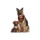 Product Pets First Washington Commanders Reversible Pet Bandana