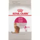 Product Royal Canin Savor Selective Dry Cat Food 6LB