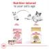Royal Canin Feline Ragdoll Adult Dry Cat Food, Breed Nutrition image thumbnail 5