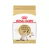 Royal Canin Feline Siamese Adult Dry Cat Food, Breed Nutrition image thumbnail 1