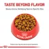 Royal Canin Feline Siamese Adult Dry Cat Food, Breed Nutrition image thumbnail 2