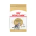 Royal Canin American Shorthair Adult Cat Food 5.5LB image thumbnail 1