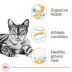 Royal Canin Feline Bengal Adult Dry Cat Food, Breed Nutrition image thumbnail 3