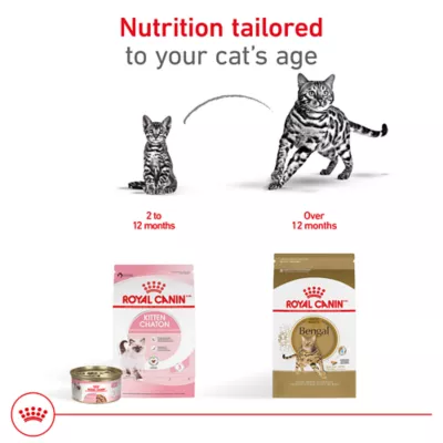 Product  Royal Canin Bengal Adult Cat Food 7LB