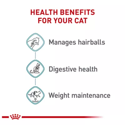 Product Royal Canin Hairball Care 12 CT 36 OZ