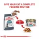 Product Royal Canin Hairball Care 12 CT 36 OZ