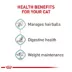 Royal Canin Hairball Care 3 OZ image thumbnail 4